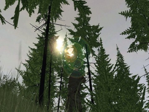Armed Assault 1 15