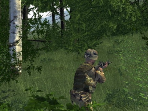 Armed Assault 1 22