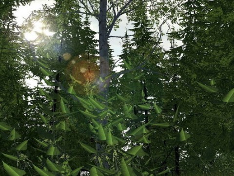 Armed Assault 1 23