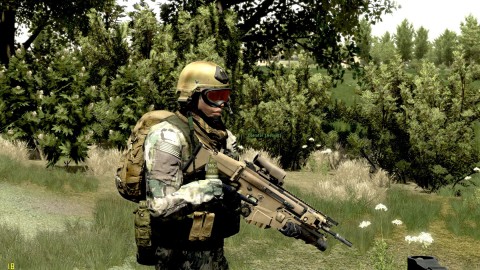 Armed Assault 2 04
