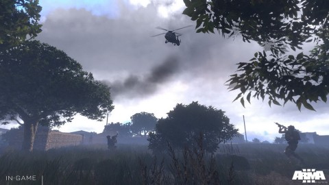 Armed Assault 3 10