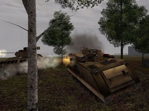Desert Combat 17