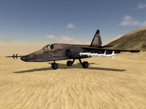 Desert Combat Fahrzeuge Irak 08