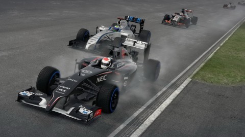 F1 2014 06