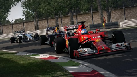 F1 2014 10