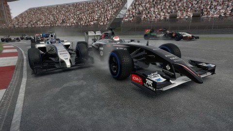 F1 2014 16