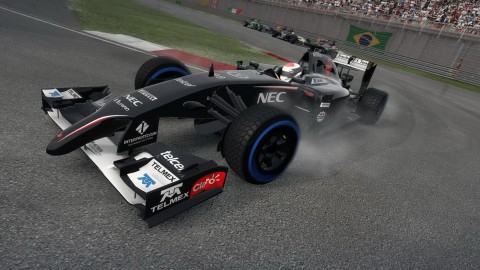 F1 2014 17