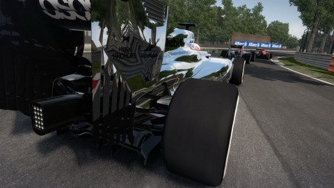 F1 2014 18