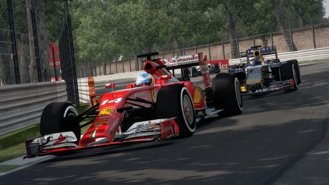 F1 2014 19