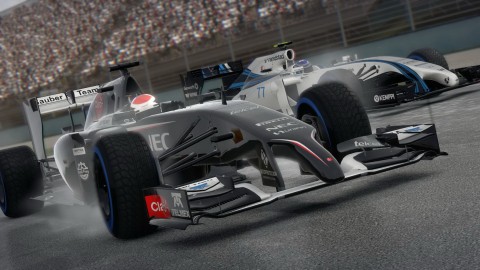 F1 2014 25