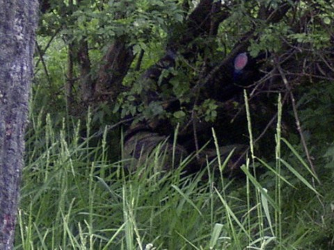 Paintball 2004.06 10