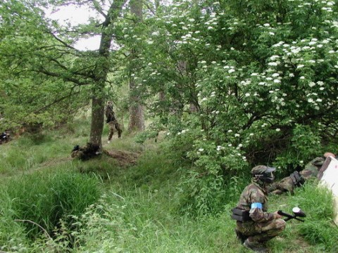 Paintball 2004.06 13