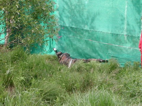 Paintball 2004.06 45