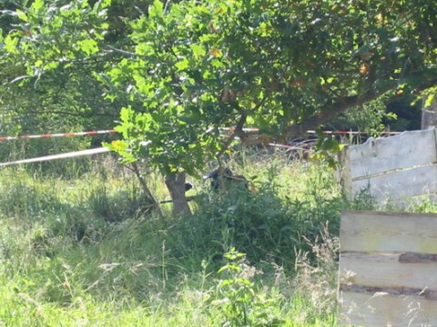 Paintball 2005.07 160