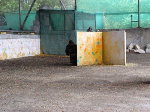 Paintball 2005.07 187